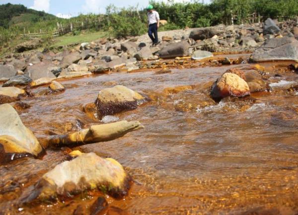 Khẩn trương làm rõ nguyên nhân khiến nước sông Nậm Huống vàng đục, cá chết hàng loạt