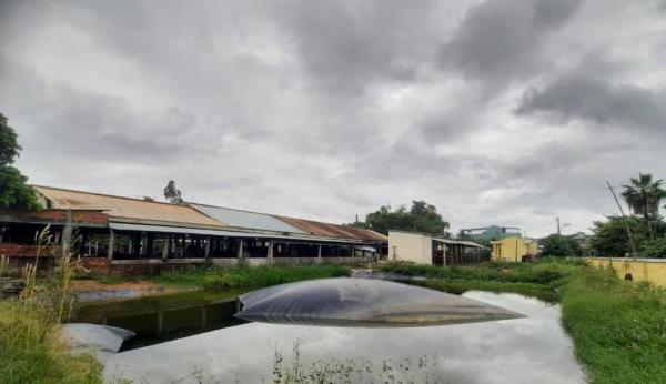 Sớm di dời lò mổ gia súc Trường Xuân gây ô nhiễm môi trường ra khỏi khu dân cư