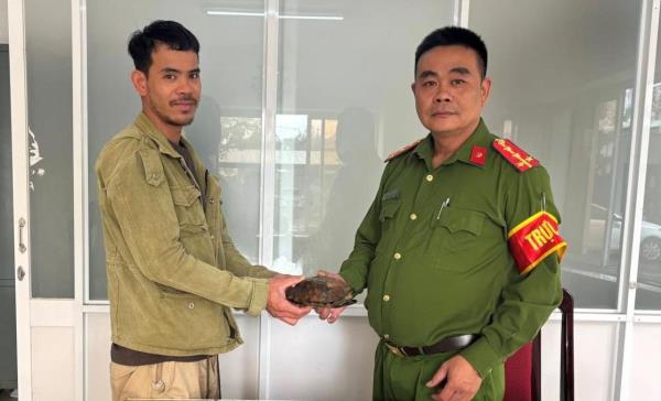 Tái thả động vật hoang dã