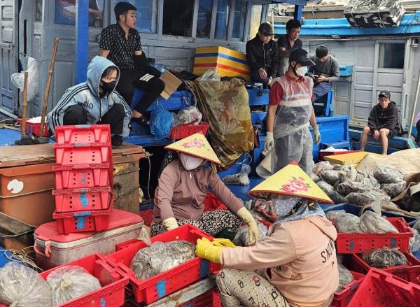 Nhộn nhịp biển Quảng Ngãi những ngày giáp Tết