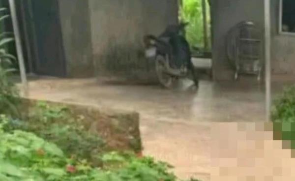 Án mạng sau cuộc rượu