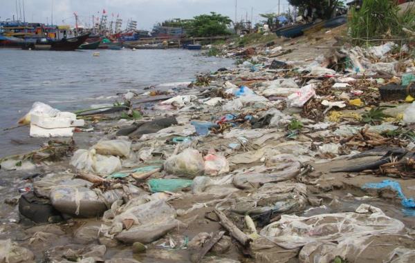 Cảng cá ngập rác