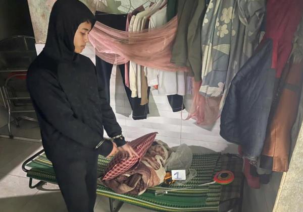 Đạo chích vùng giáp ranh sa lưới