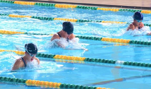 Chuyên gia hiến kế cho thể thao thành tích cao và kinh tế thể thao Đà Nẵng đột phá