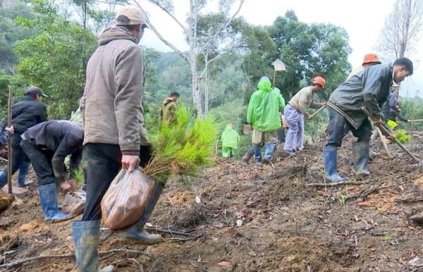 Xã Măng Đen xử phạt 4 trường hợp chiếm đất rừng sản xuất trái phép