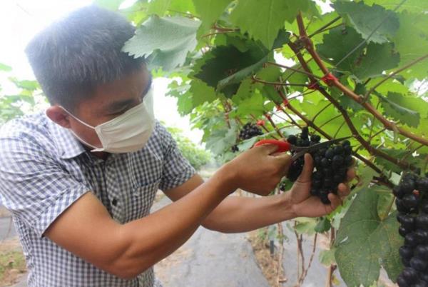 Lênh đênh... phận cò