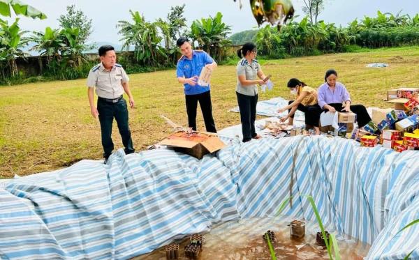 Tiêu hủy pháo lậu