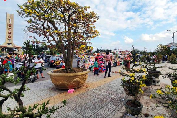Tổ chức Chợ hoa Tết Giáp Thìn năm 2024 tại các khu vực xung quanh Cung Thể thao Tiên Sơn