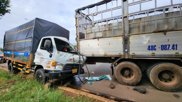 Cú tạt đầu tai hại