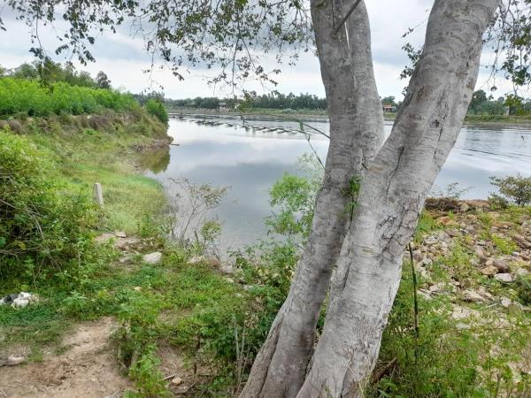 Nước mắt dòng sông