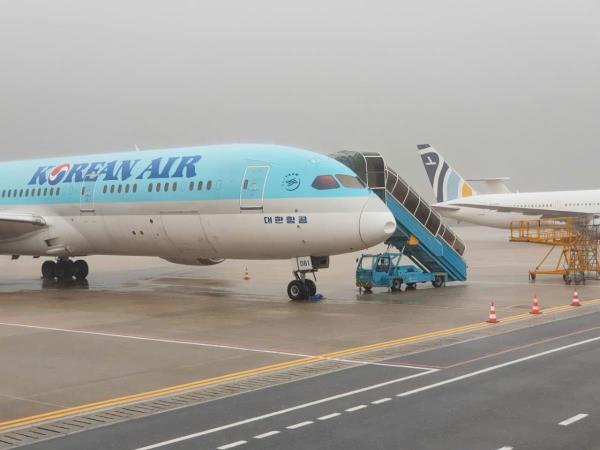 Nghi vấn chim trời tông móp đầu chim sắt