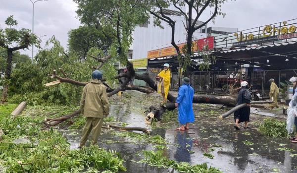 Đà Nẵng chủ động ứng phó với bão số 6