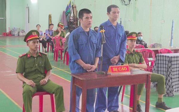 Bán cỏ Mỹ… lãi án tù