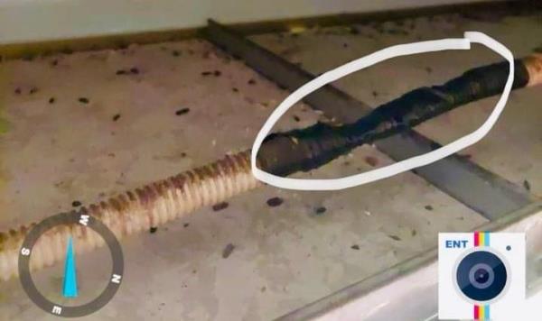 Xử lý kịp thời vụ chạm chập điện