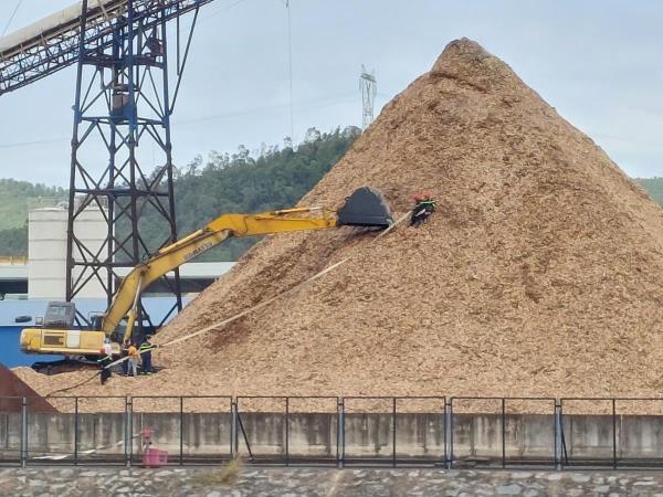 Bà Hỏa leo núi dăm gỗ