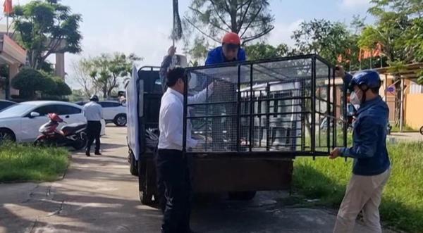 Đà Nẵng tăng cường công tác phòng, chống bệnh Dại