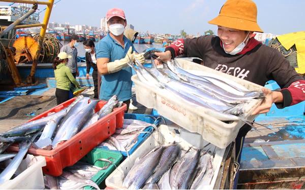 Triển khai hệ thống phần mềm truy xuất nguồn gốc thủy sản khai thác điện tử