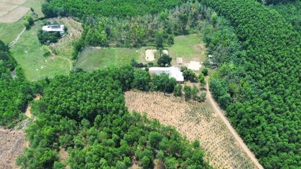 Lý do UBND tỉnh Quảng Nam kháng cáo vụ tranh chấp hơn 25.000m2 đất