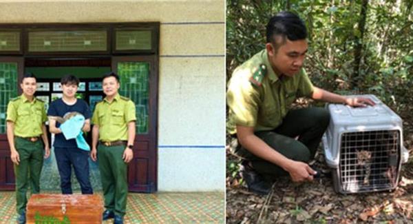 Thả động vật hoang dã về tự nhiên