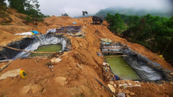 Kỳ cuối: Không thể kiểm soát vàng tặc?