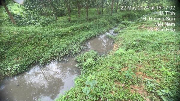 Hàng chục hộ dân bị tra tấn vì trại lợn không phép xả thải trực tiếp ra môi trường