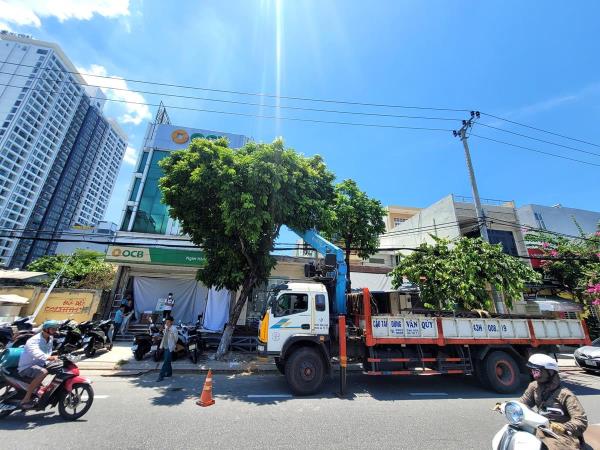 Xe cẩu uy hiếp đường điện trung thế