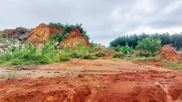 Sau kết luận thanh tra, Công ty Xuân Vượng xin được nộp thuế bổ sung