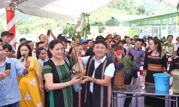 Phiên đấu giá sâm Ngọc Linh thu về hơn 360 triệu đồng ủng hộ kinh phí xóa nhà tạm