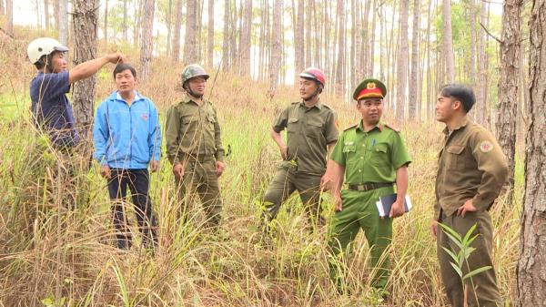 Điểm sáng Dơng Glê