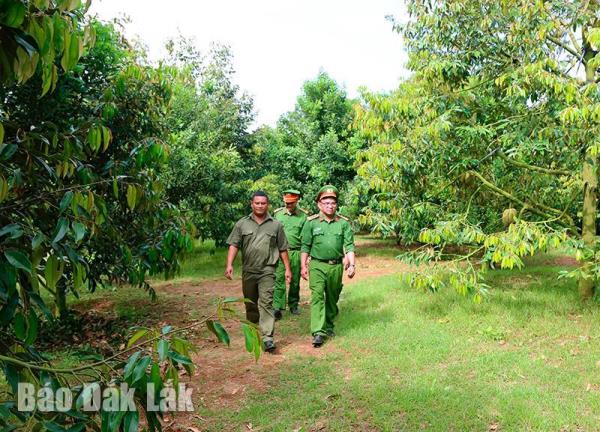 Chuyện thường ngày vào mùa sầu riêng