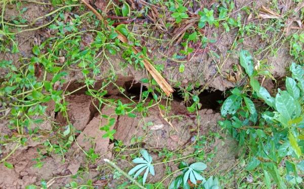 Xuất hiện vết nứt trên núi, nhiều hộ dân phải sơ tán