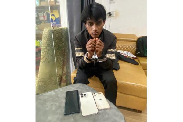 Lên rẫy cà-phê săn dế