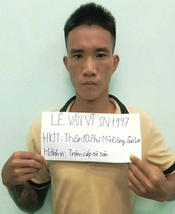 Trộm xô chủ nhà tẩu thoát