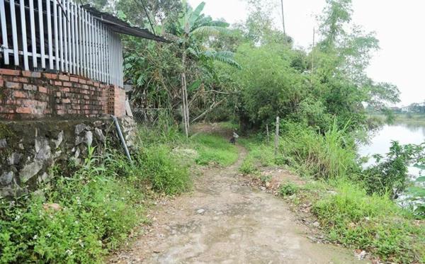 Thấp thỏm lo hà bá ngoạm