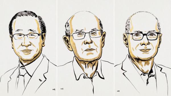 Giải Nobel Hóa học 2025 vinh danh nghiên cứu cấu trúc phân tử mới