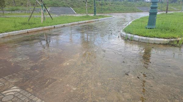 Công viên… vồ ếch