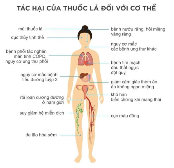 Nói không với thuốc lá