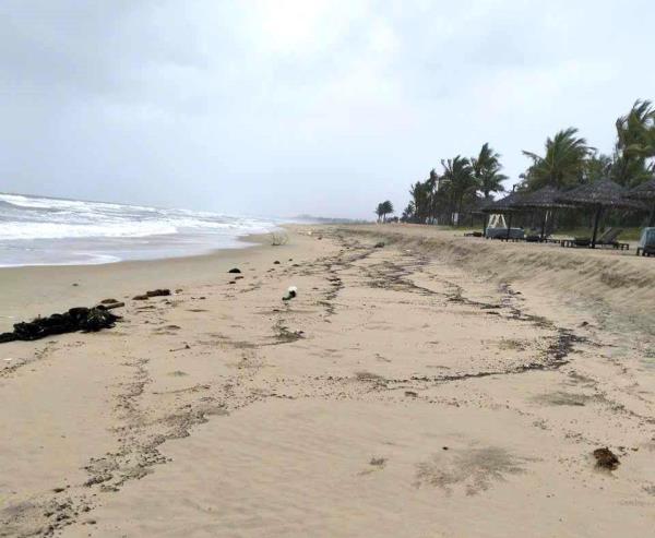 Dầu vón cục trôi dạt vào bờ biển Quảng Nam