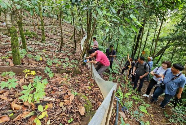 Gần 4.000 củ sâm Ngọc Linh bị trộm thiệt hại hơn 20 tỷ đồng