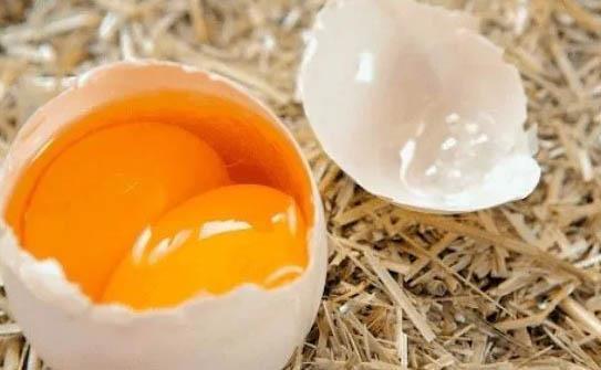 Đề nghị điều tra tin đồn trứng giả gây hoang mang dư luận