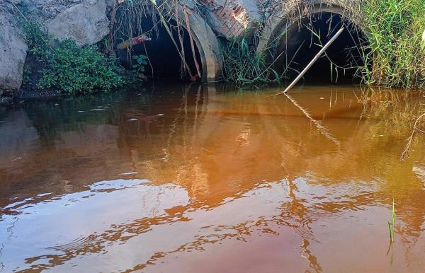 Đề nghị ngành chức năng kiểm tra nguyên nhân nguồn nước ô nhiễm