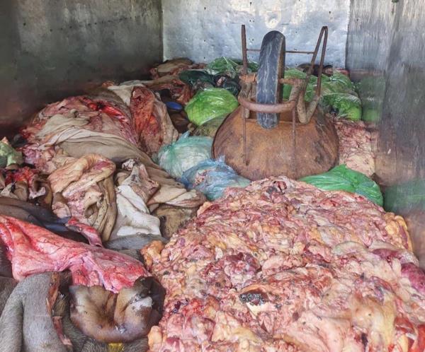 Phát hiện tài xế vận chuyển 1 tấn da và nội tạng động vật đi tiêu thụ