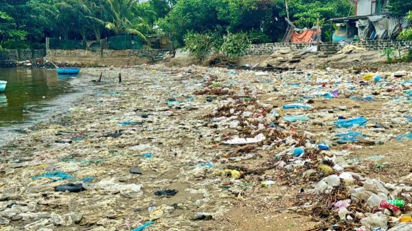 Bờ biển… chứa rác