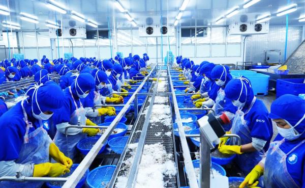 Nhiều vi phạm trong việc thuê đất tại Khu Công nghiệp Dịch vụ thủy sản Thọ Quang