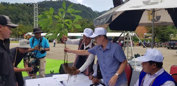 Sôi nổi Hội thi sâm Ngọc Linh tại TP Đà Nẵng