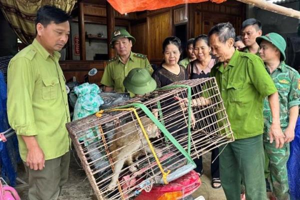 Thả Tề Thiên về rừng