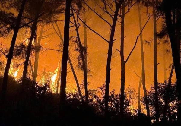 Hàng trăm người nỗ lực dập lửa cứu rừng trong đêm