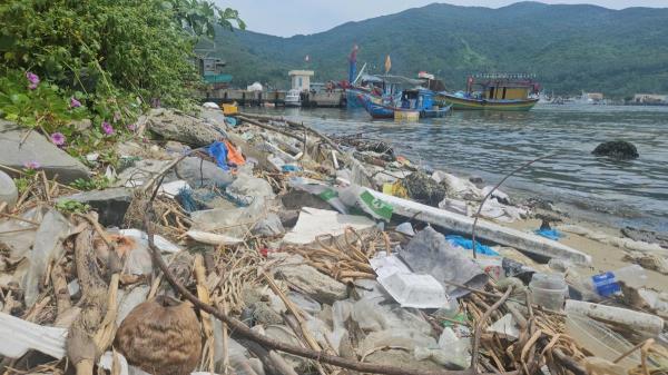 Cũng là… lấn vịnh