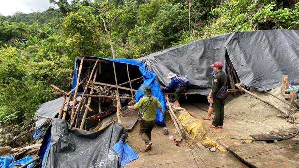 Truy quét vàng tặc