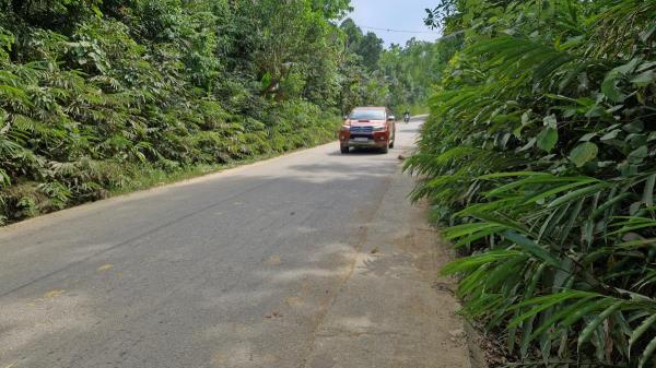 Dự án sa lầy vì… cây sa nhân